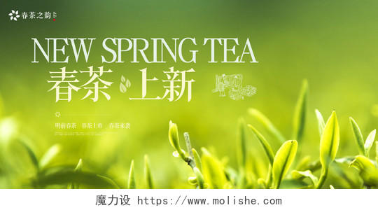 简约春季采茶绿色展板春茶茶叶